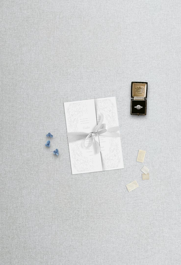 Translucent Vellum